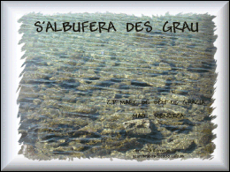 S'Albufera des Grau | Recurso educativo 38296