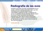 Radiografía de las aves | Recurso educativo 39487