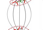 Mitosis | Recurso educativo 44484