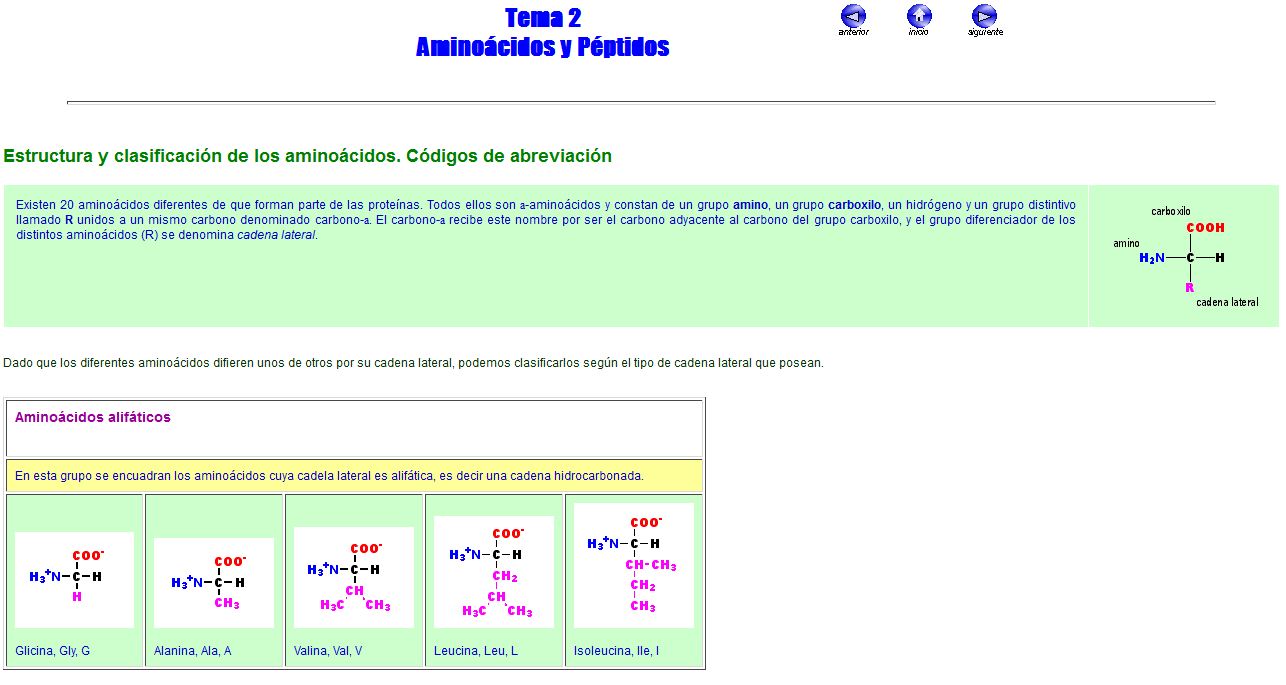 Clasificación de los aminoácidos | Recurso educativo 48782