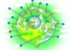 Plant cell quiz | Recurso educativo 60593