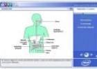 La digestión 1 | Recurso educativo 10968