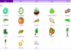 Vegetables | Recurso educativo 12226