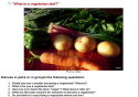 Are you Vegeterian? | Recurso educativo 23401