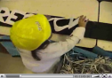 Video: Recycle | Recurso educativo 26503