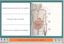 Els aliments i la digestió | Recurso educativo 4385