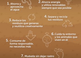 7 consejos para proteger el Medio Ambiente | Recurso educativo 100243