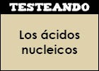 Los ácidos nucleicos | Recurso educativo 350583