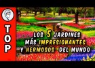 Els jardins més bonics del món | Recurso educativo 774423