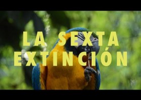 La sexta extinción | Recurso educativo 788179